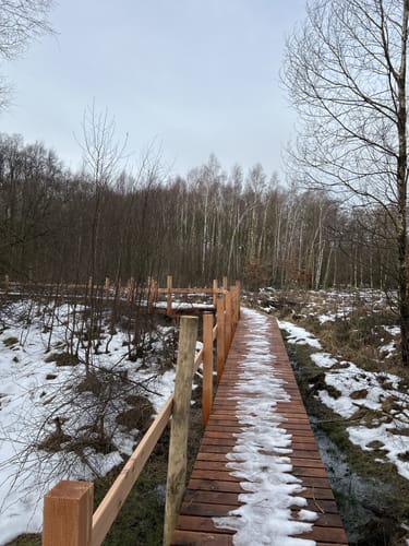 Auf den Spuren der Schlacht im Hürtgenwald