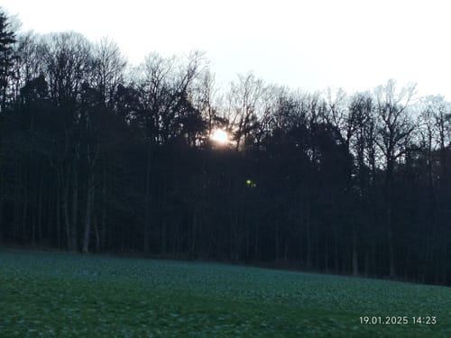 Bad König: Drei-Mühlen-Weg