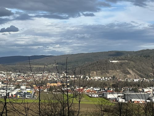 Rundwanderweg Miltenberg Springquelle 3