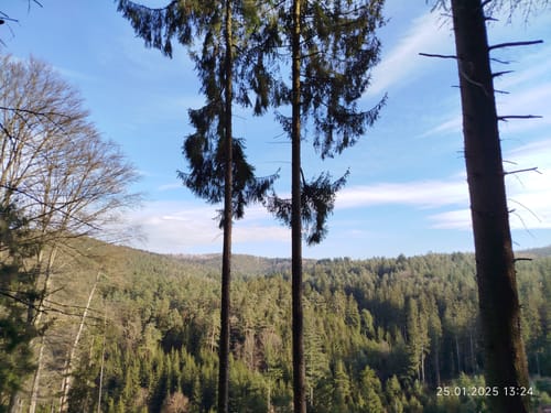 Rundwanderweg Beerfelden Hasenhöhe 2: Hetzbacher-Wald-Weg