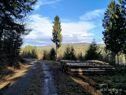 Rundwanderweg Beerfelden Hasenhöhe 2: Hetzbacher-Wald-Weg