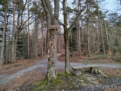 Rundwanderweg Beerfelden Hasenhöhe 2: Hetzbacher-Wald-Weg