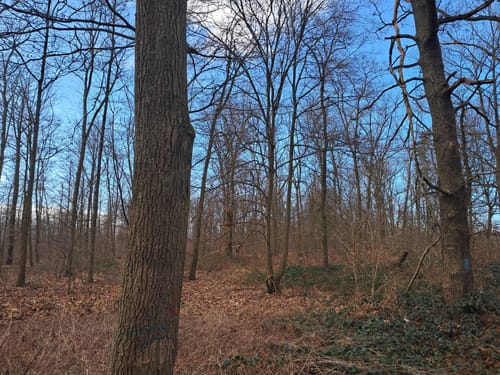 Muldental-Wanderweg Zwickauer Mulde Etappe 7: Grimma - Wurzen