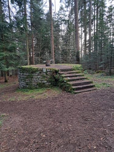 Waldpfad Calw