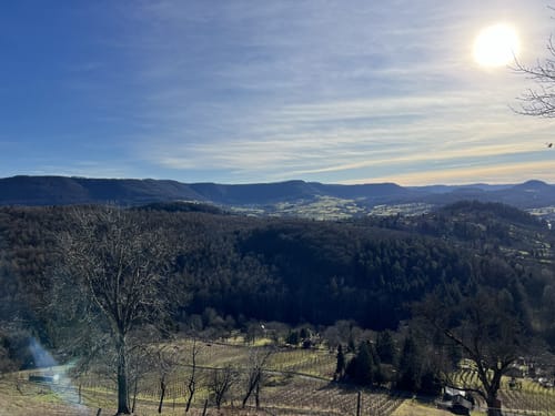 Auf den Floriansberg