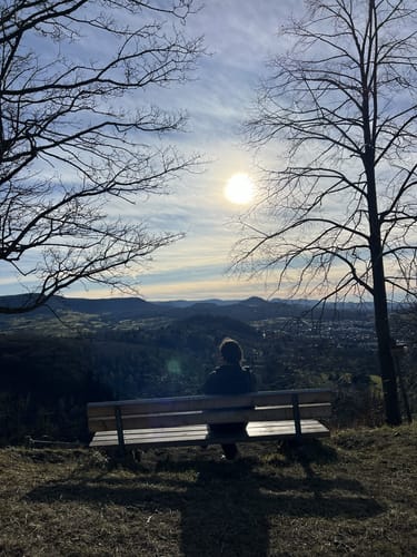Auf den Floriansberg