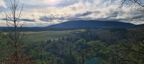 Kirchheimbolanden: Schillerhainrundweg 7