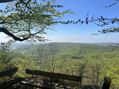Asbach-Sickenberg P16 (Premiumwanderweg)