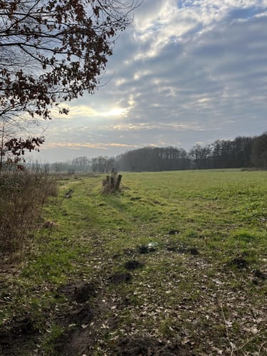 Rund um Horneburg