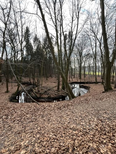 Rund um Horneburg
