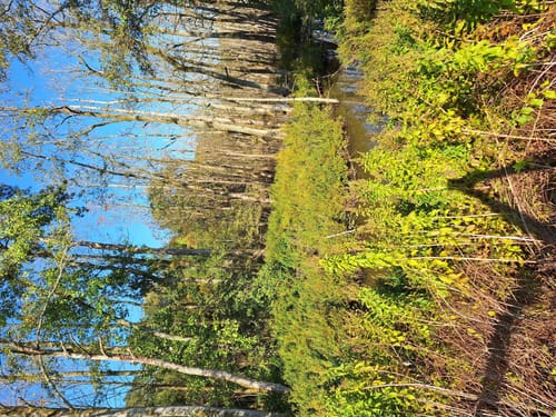 Drei-Seen-Tour Freiensteinau (Premiumwanderweg)