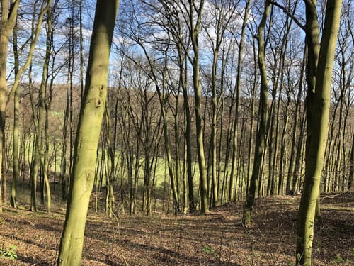 Paderborner Radrundweg PA5