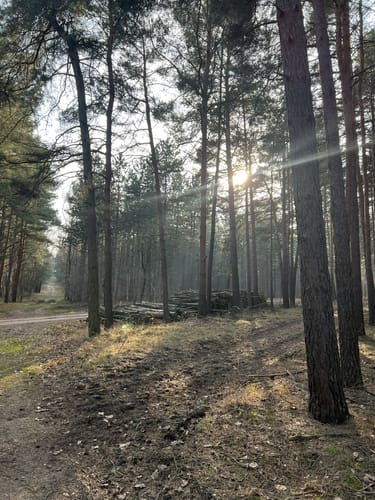 Jessen - Glücksburger Heide