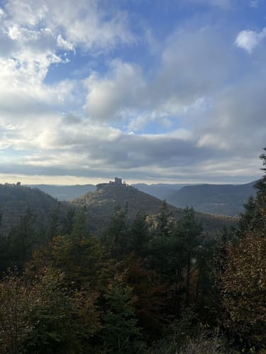 Annweilerer Burgenweg über Föhrlenberg