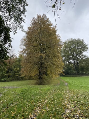 Kraichtal Wanderweg K1