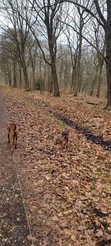Rotbach Rundweg A6