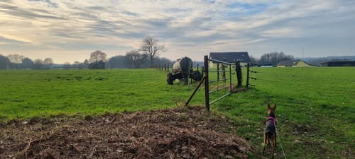 Rotbach Rundweg A6