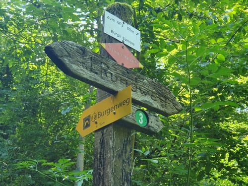 Grenzgänger-Panorama rund um Gailingen