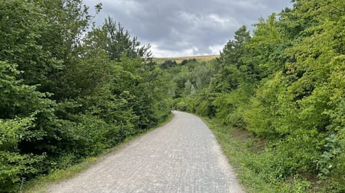Resser Mark - Westerholt - Herten
