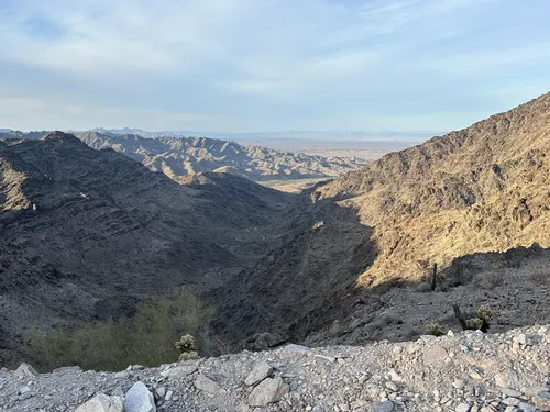 Cunningham Mountain Trail, Arizona - 41 Reviews, Map | AllTrails