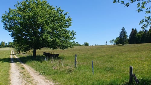 Rhön-Rundweg 2: Frauenstein