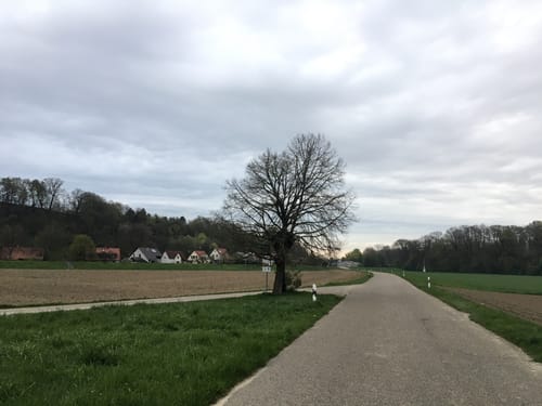 An der Donau entlang ab Neuburg