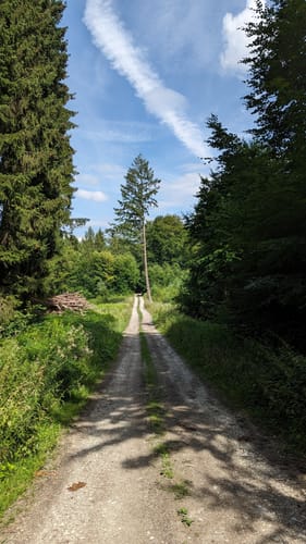 Luisenturmrunde