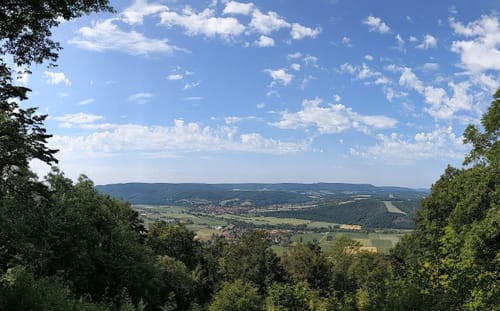 Mainzer Köpfe P12 (Premiumwanderweg)