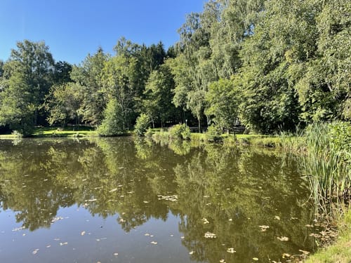 Rockenburger Urwaldpfad (Traumschleife)