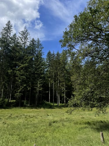 Grenzweg (Premiumwanderweg)