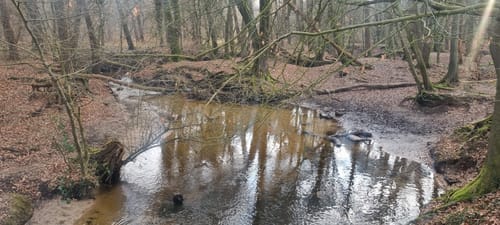 Rotbach Rundweg A6