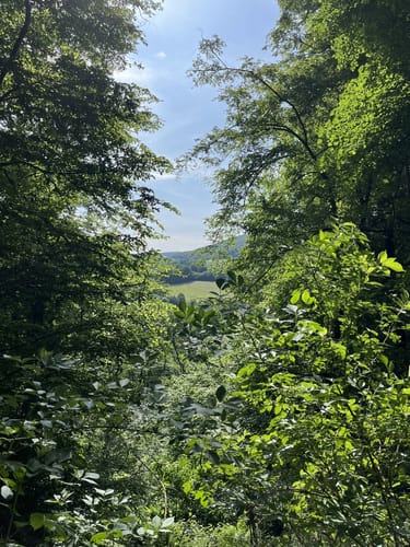 Zu den Wichtelhölen Bad Kissingen