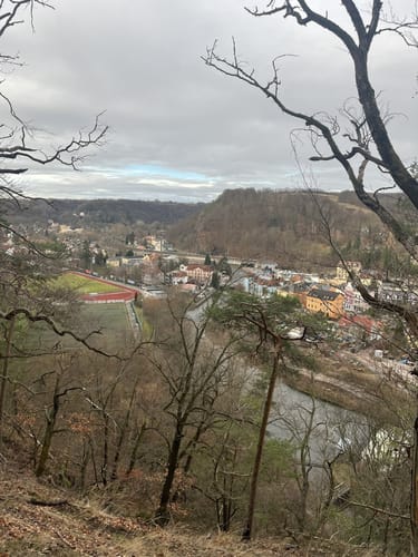 Windberg und Poisenwald Rundweg