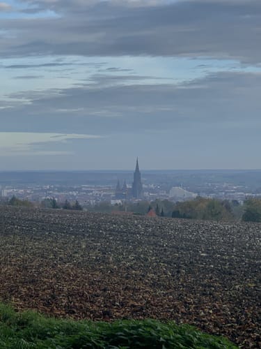 Panoramaweg Eselsberg in Ulm
