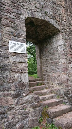 Salvestweg am Wildgehege