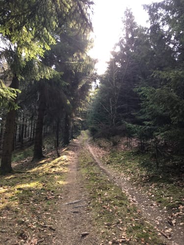 Niederheimbach - Franzosenkopf