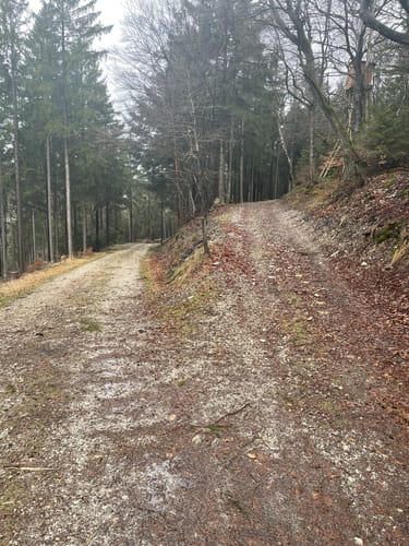 Von Hohemark zum Kolbenberg