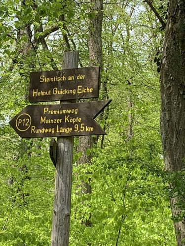 Mainzer Köpfe P12 (Premiumwanderweg)