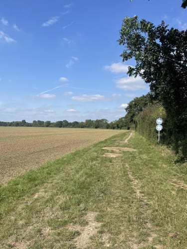 Urdenbacher Kämpe - Große Runde
