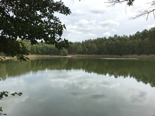 Teupitz - Tornower See - Hohe Mühle