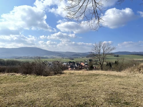 Söder Wald P7 (Premiumwanderweg)