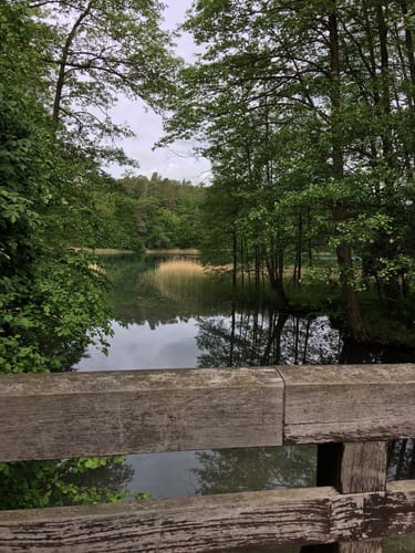 Märkischer Landweg Etappe 3: Lychen - Templin
