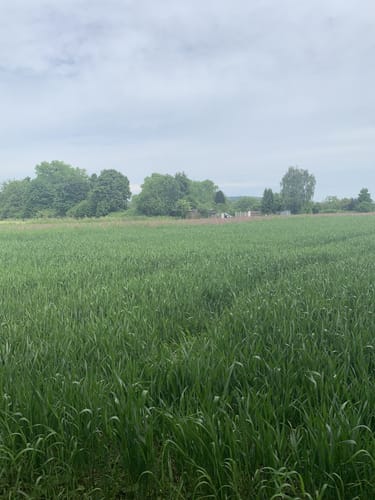 Weser - Romantische Straße (D-Route 9) Etappe 6: Hameln - Höxter