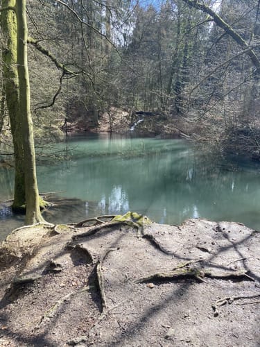 Kronensee Rundwanderung