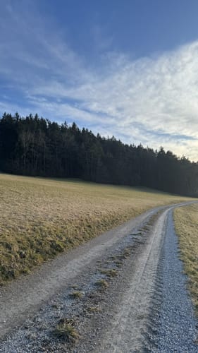 Am Estelberg bei Birndorf
