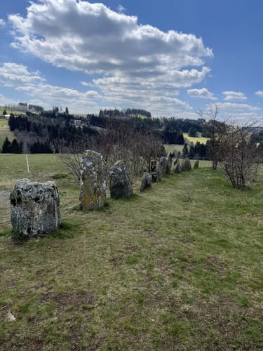 FrankenwaldSteigla 12-Apostel-Weg