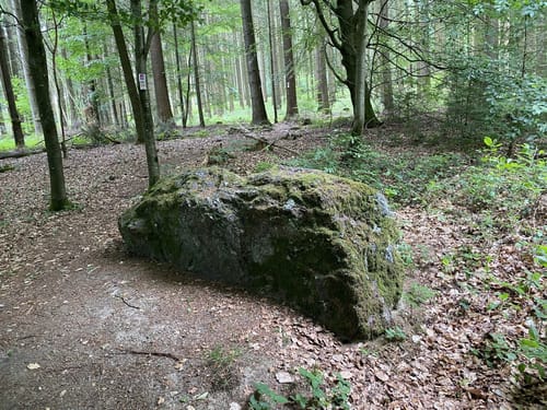 Römer-Keltenpfad (Traumschleife)