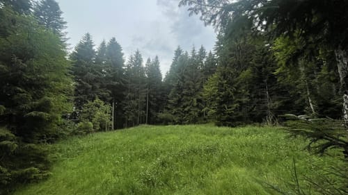Ostweg Etappe 5: Ödenwald - Aichhalden