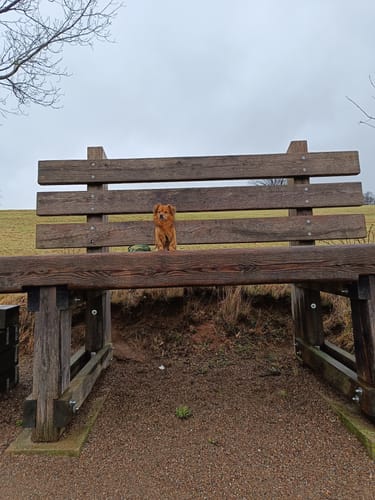 Wennenkamp nach Friedrichswald