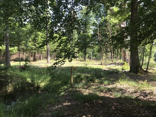 Wandern zum Quadrat